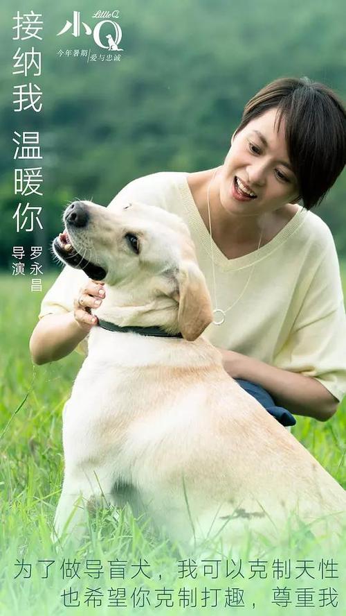 怎么办假乔治敦大学学位证